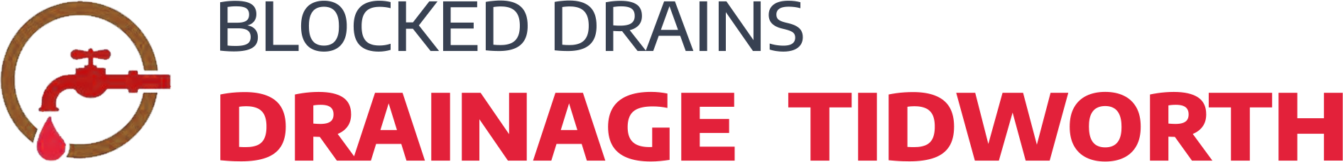 website logo